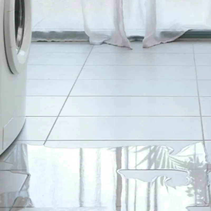 Appliance Leak Cleanup in Boston, GA