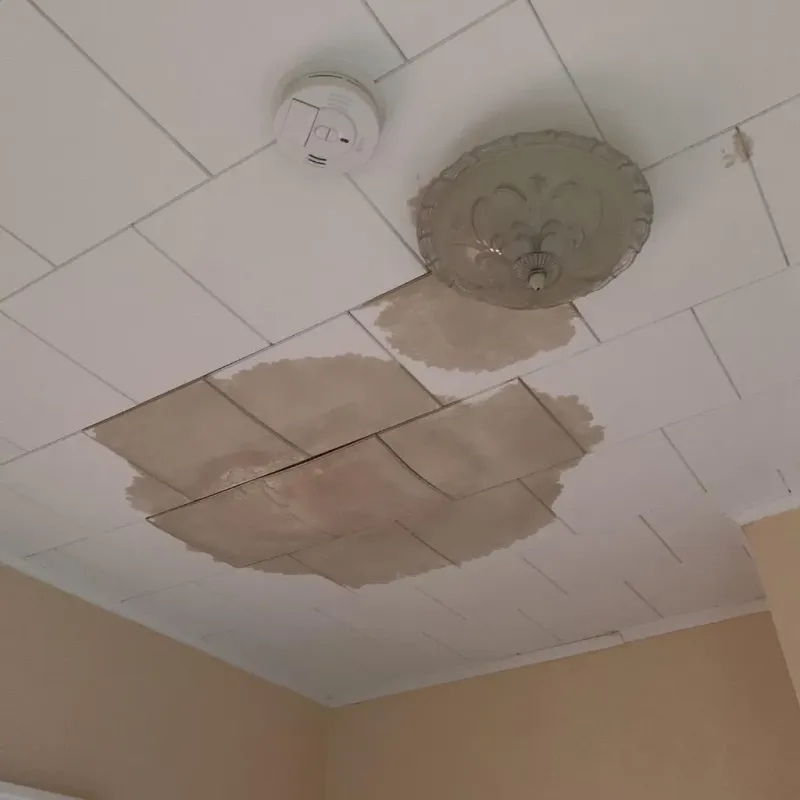 Ceiling Water Damage Repair in Boston, GA