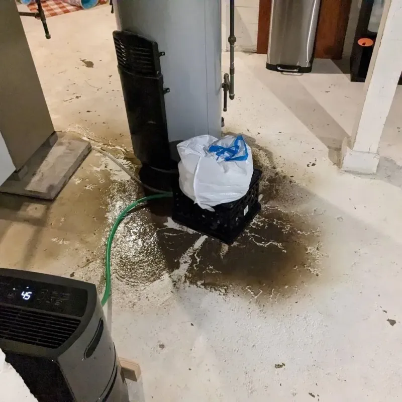 Sewage Backup Cleanup Service in Boston, GA